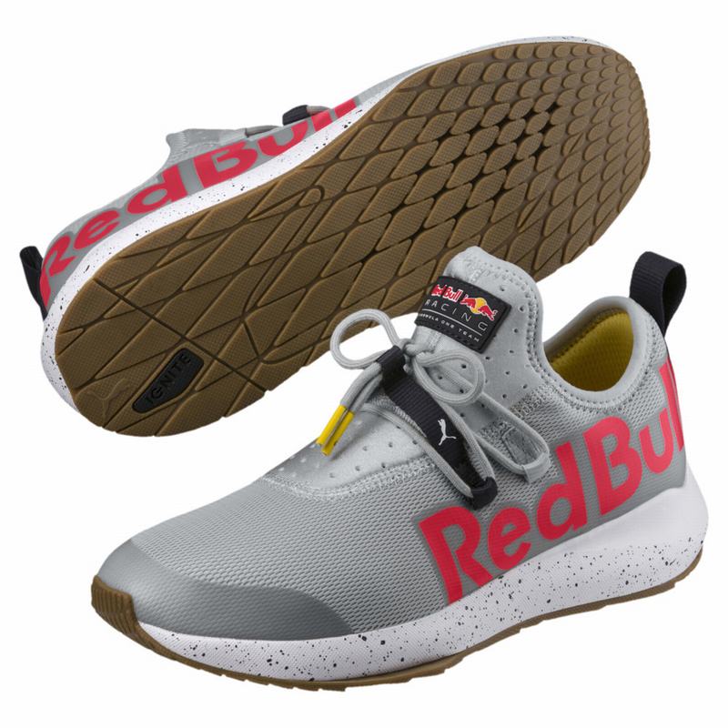 Chaussure Motorsport Puma Red Bull Racing Evo Cat Ii Homme Rouge Soldes 158BPZMT